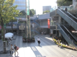 �R���Y�K�[�f��