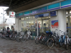 ���r�j �n�[�g�C��